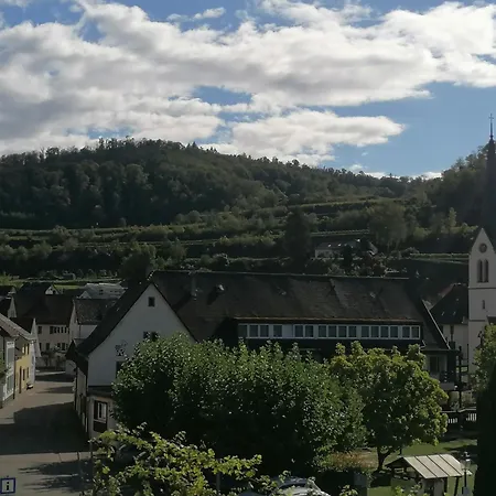 Hotel-restaurant Rebstock Hotel 3*