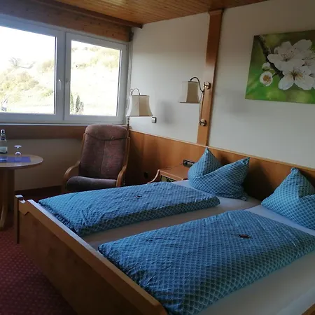 Hotel Hotel-restaurant Rebstock 3*