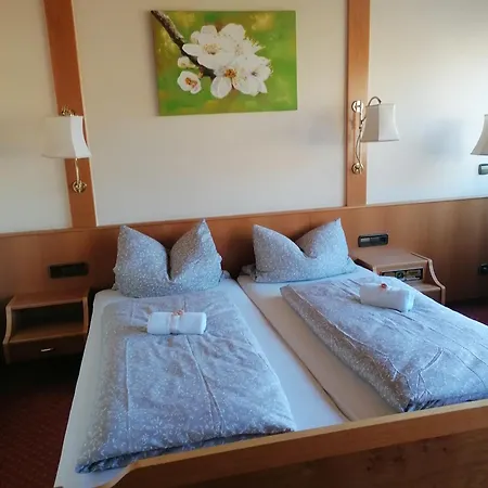 Hotel-restaurant Rebstock 3*