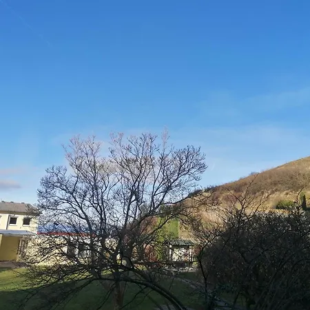 Hotel-restaurant Rebstock Otel Ihringen