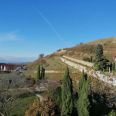 Hotel-restaurant Rebstock Otel Ihringen