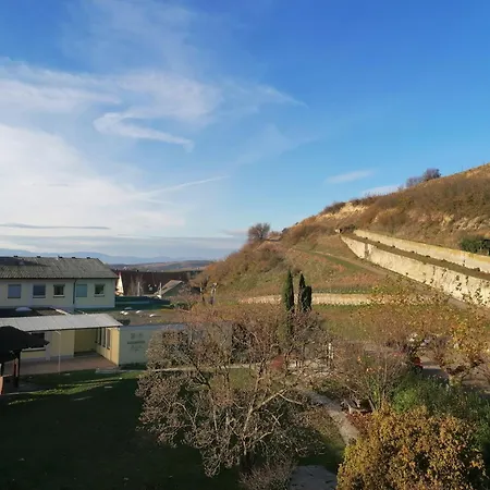 Hotel Hotel-restaurant Rebstock