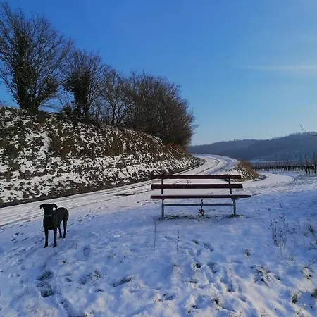Hotel-restaurant Rebstock Otel Ihringen