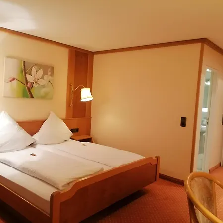 Otel Hotel-restaurant Rebstock