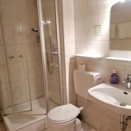 Hotel Hotel-restaurant Rebstock 3*