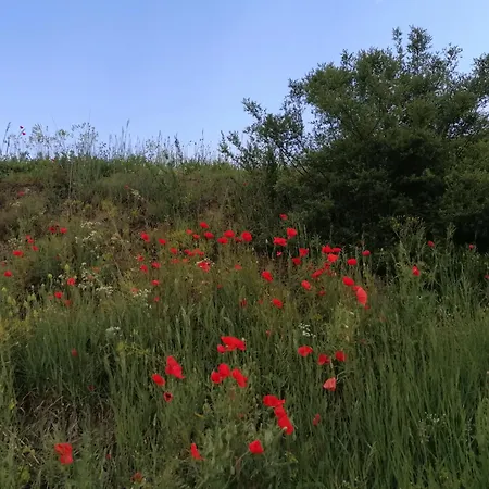 Hotel-restaurant Rebstock