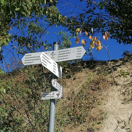 Hotel-restaurant Rebstock Hotel 3*