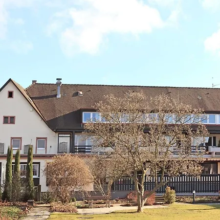 Hotel-restaurant Rebstock Otel