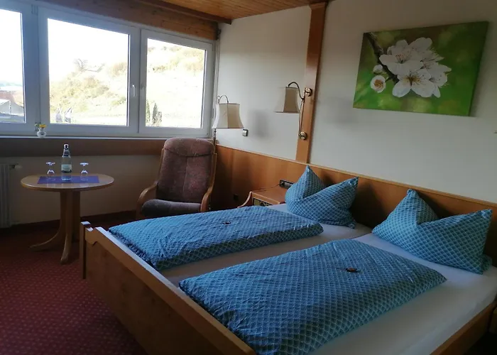 Hotel Hotel-restaurant Rebstock 3*