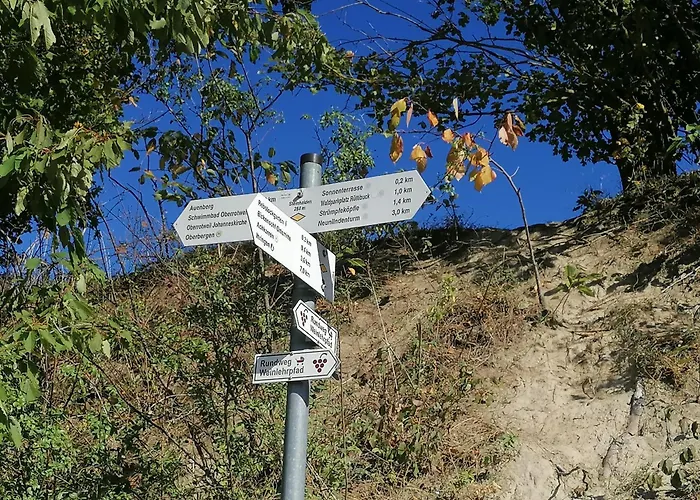 Hotel-restaurant Rebstock Hotel 3*